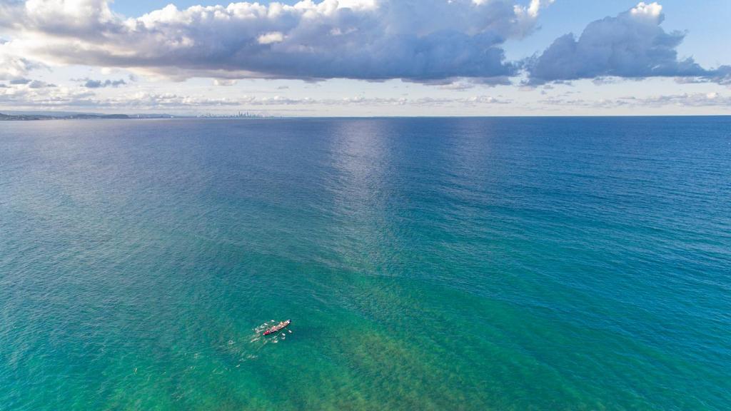 Oaks Gold Coast Calypso Plaza Suites - Resim 19