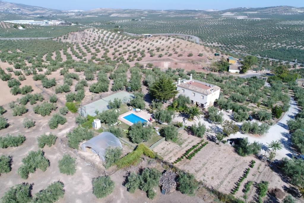 an aerial view of a house with trees and a pool at Agroturismo Ecologico el Cortijillo in Luque