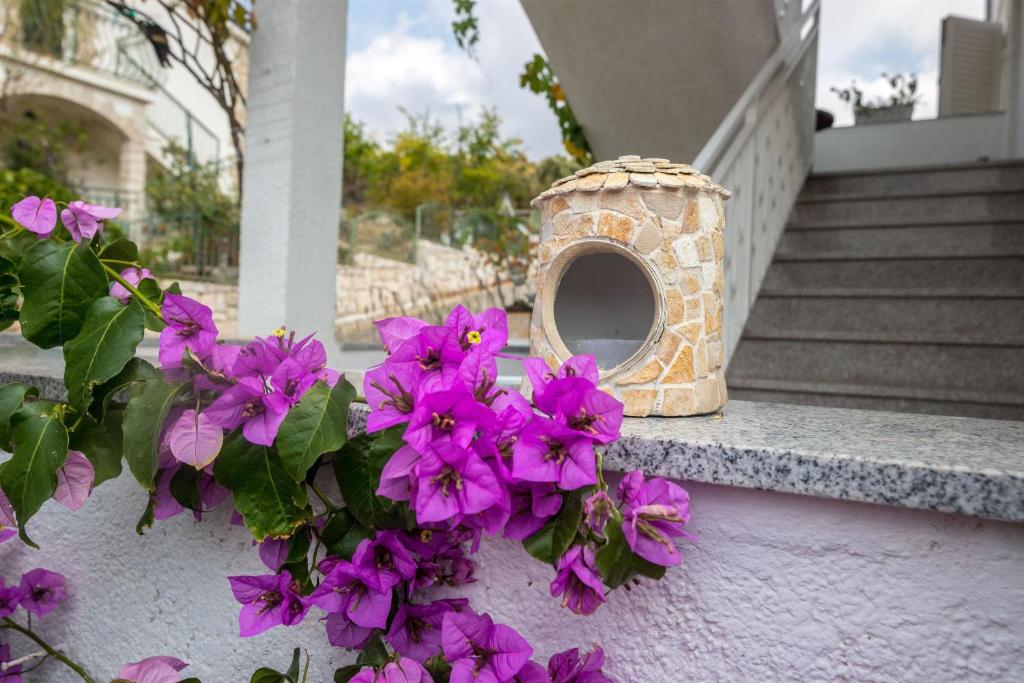 a bunch of purple flowers next to a bird house at Apartments Mirjana in Marina
