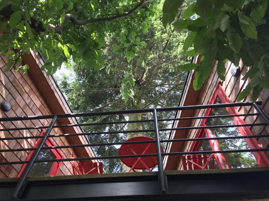 Balcone o terrazza di Almabosque Cabañas