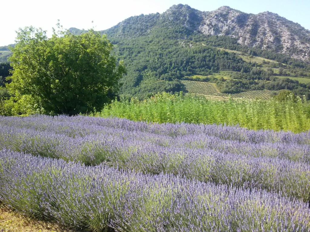 Fotografia z galérie ubytovania Porcaticcio v destinácii Casola Valsenio
