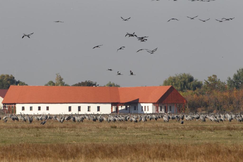 Kép Bibic Nature Lodge szállásáról Balmazújvárosban a galériában