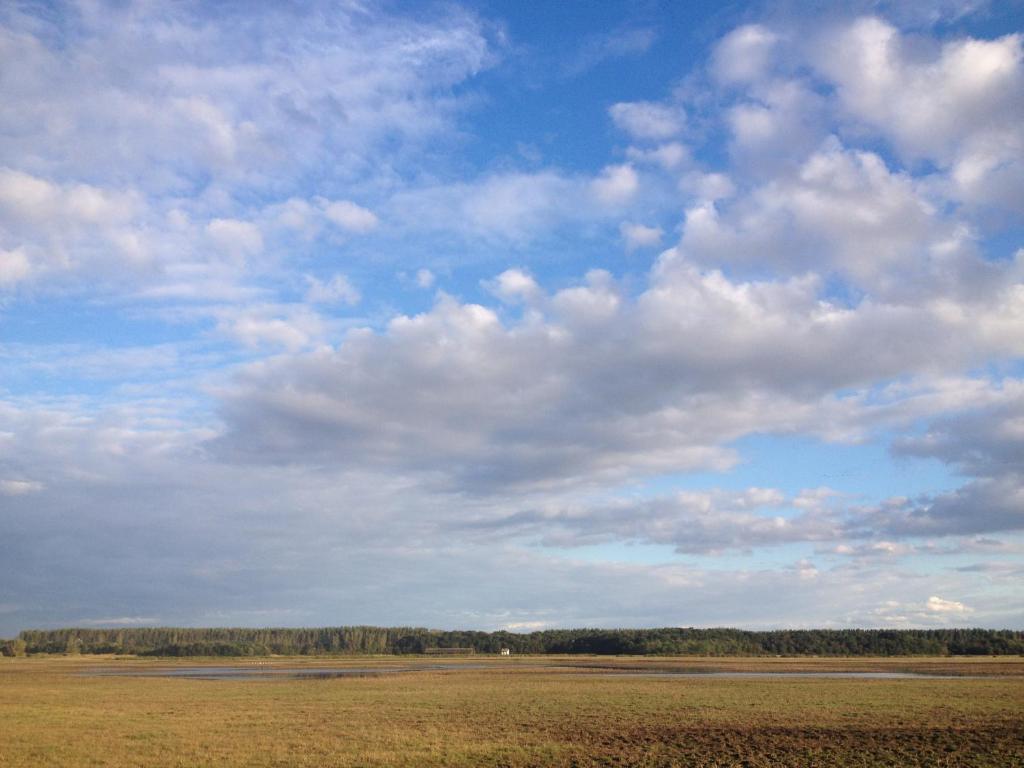 Kép Bibic Nature Lodge szállásáról Balmazújvárosban a galériában