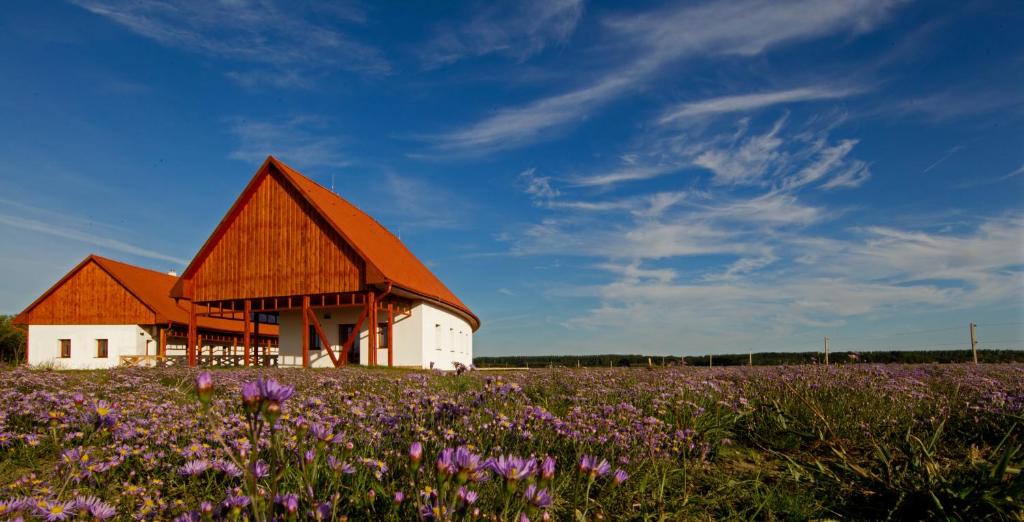 Kép Bibic Nature Lodge szállásáról Balmazújvárosban a galériában