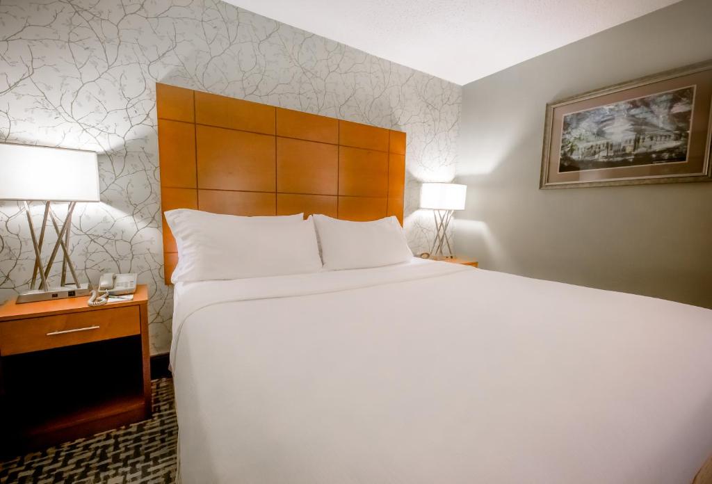Holiday Inn Raleigh Downtown, an IHG Hotel - Standaard King Room