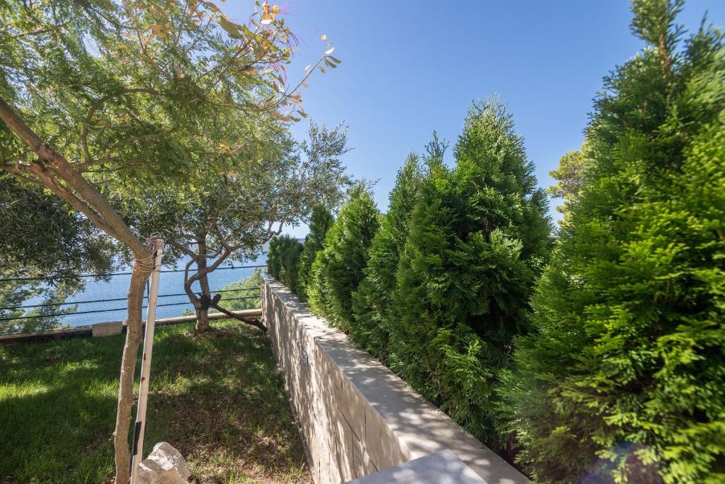 Příroda nedaleko apartmánu