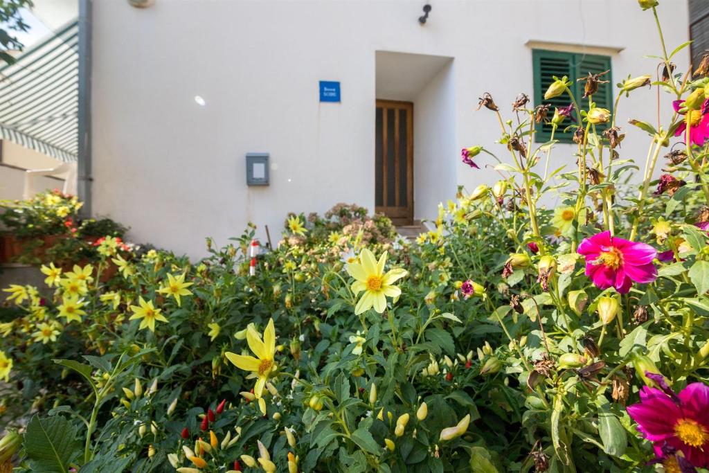 Zahrada ubytování Apartments Tolj