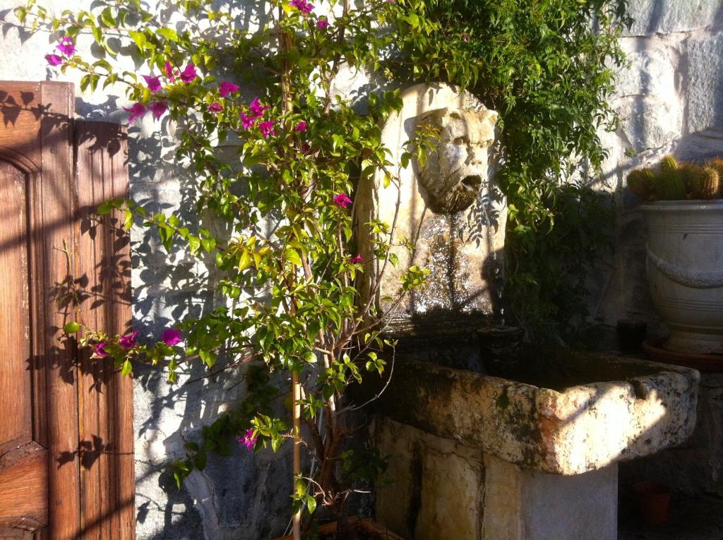Zahrada ubytování Hôtel Les Alizés