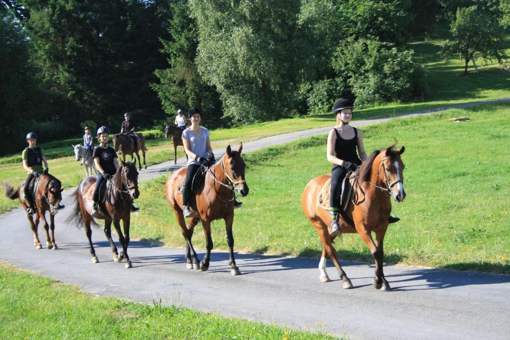 Állatok a vendégházban vagy a közelben