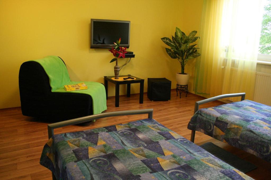 TV a/nebo společenská místnost v ubytování Hotel Na Vodách