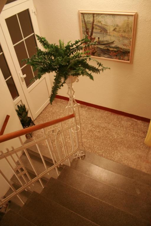 Fotografie z fotogalerie ubytování Hotel Na Vodách v destinaci Mariánské Lázně