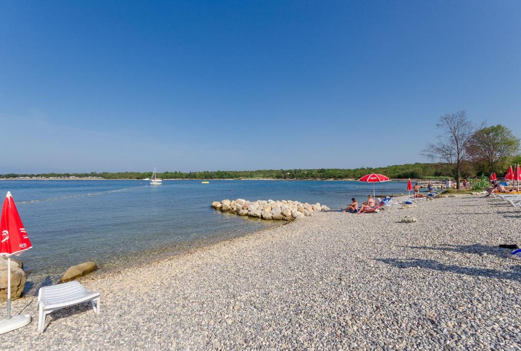 Příroda nedaleko apartmánu