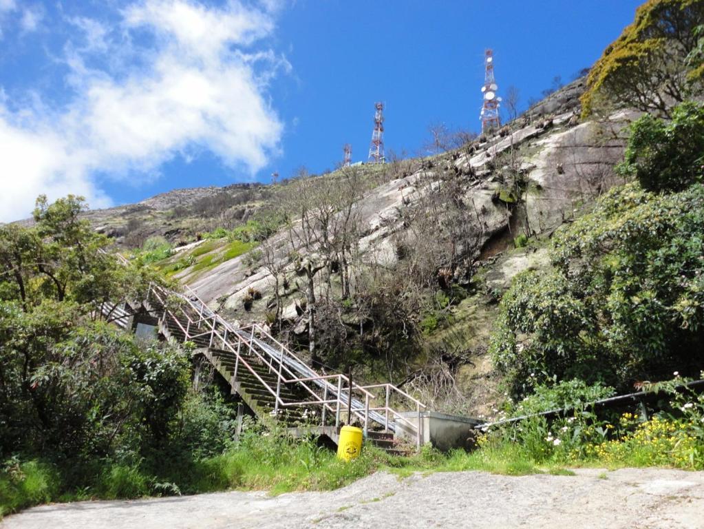  Canto dos Pássaros
