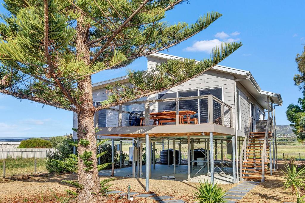 une maison sur la plage avec un arbre dans l'établissement Sea View at Silver Sands - C21 SouthCoast Holidays, à Aldinga Beach
