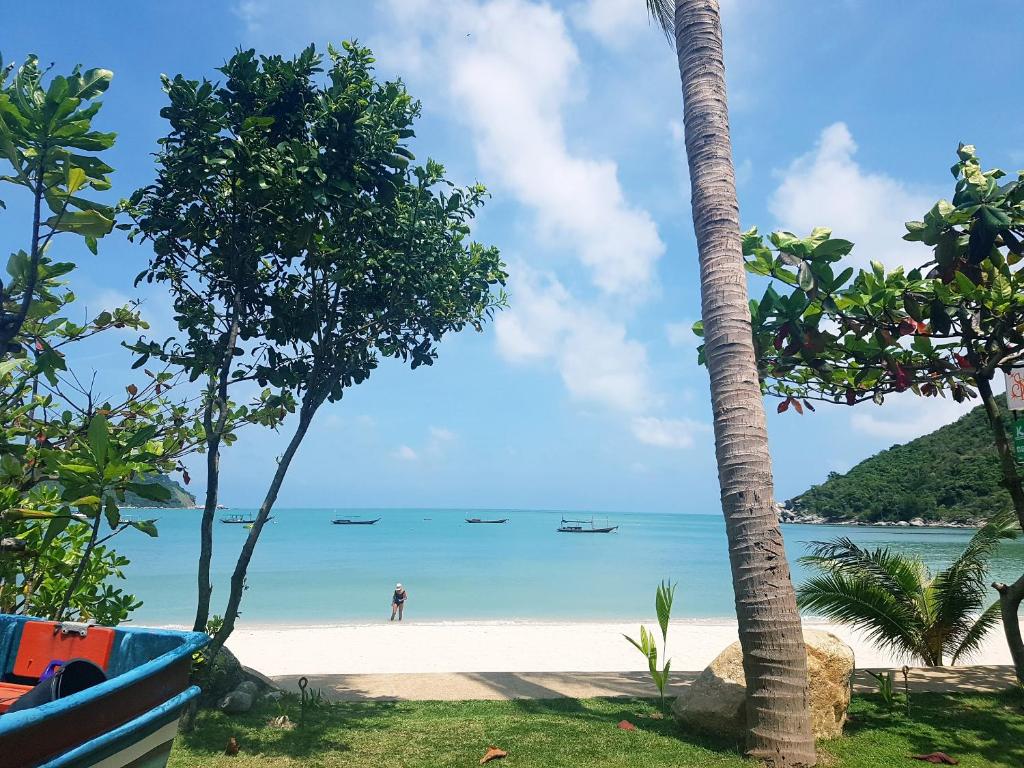 a beach with boats in the water and a palm tree at Starlight Resort Koh Phangan in Thong Nai Pan Yai