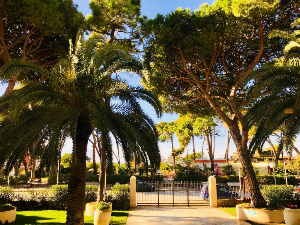 a group of palm trees in a park at Hotel Terme Marine Leopoldo II TERME & SPA in Marina di Grosseto