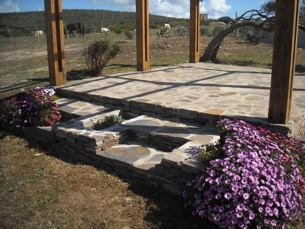 a stone patio with purple flowers in the grass at Agriturismo Depalmas in Stintino