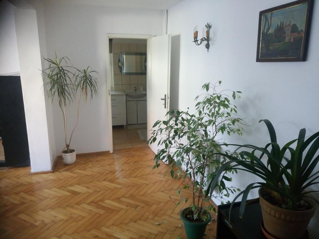 Fotografia z galérie ubytovania Apartament Turystyczny w Stepnicy v destinácii Stepnica