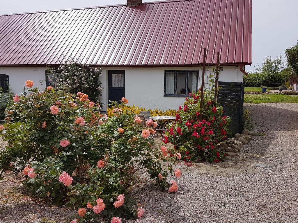 a house with flowers in front of a building at Peterslund in Östra Tommarp