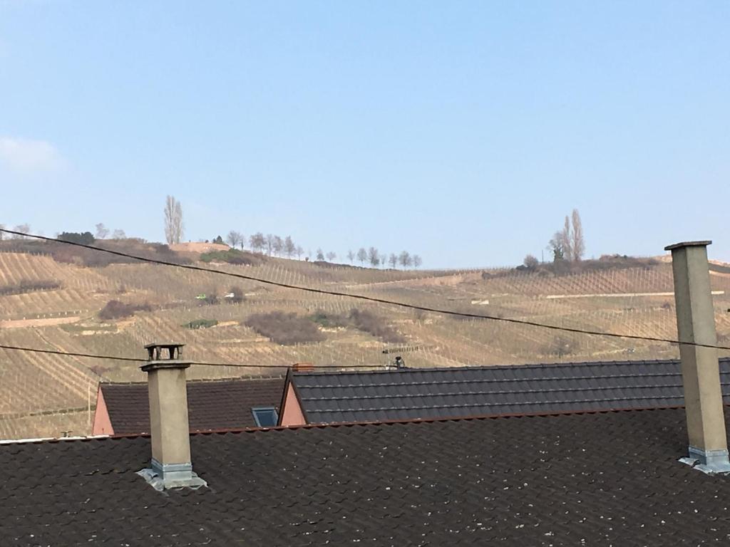 Příroda nedaleko prázdninového domu