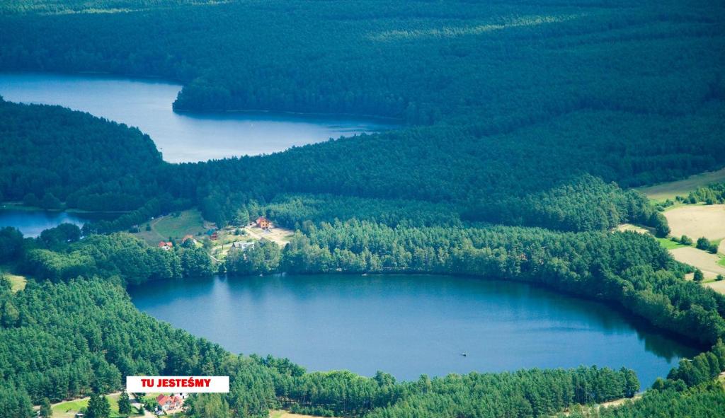 LipuszにあるAgro Breza- domki letniskoweの森の中の湖空
