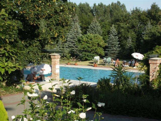 a swimming pool in a garden with people sitting around it at Agroger Üdülő in Balatonudvari