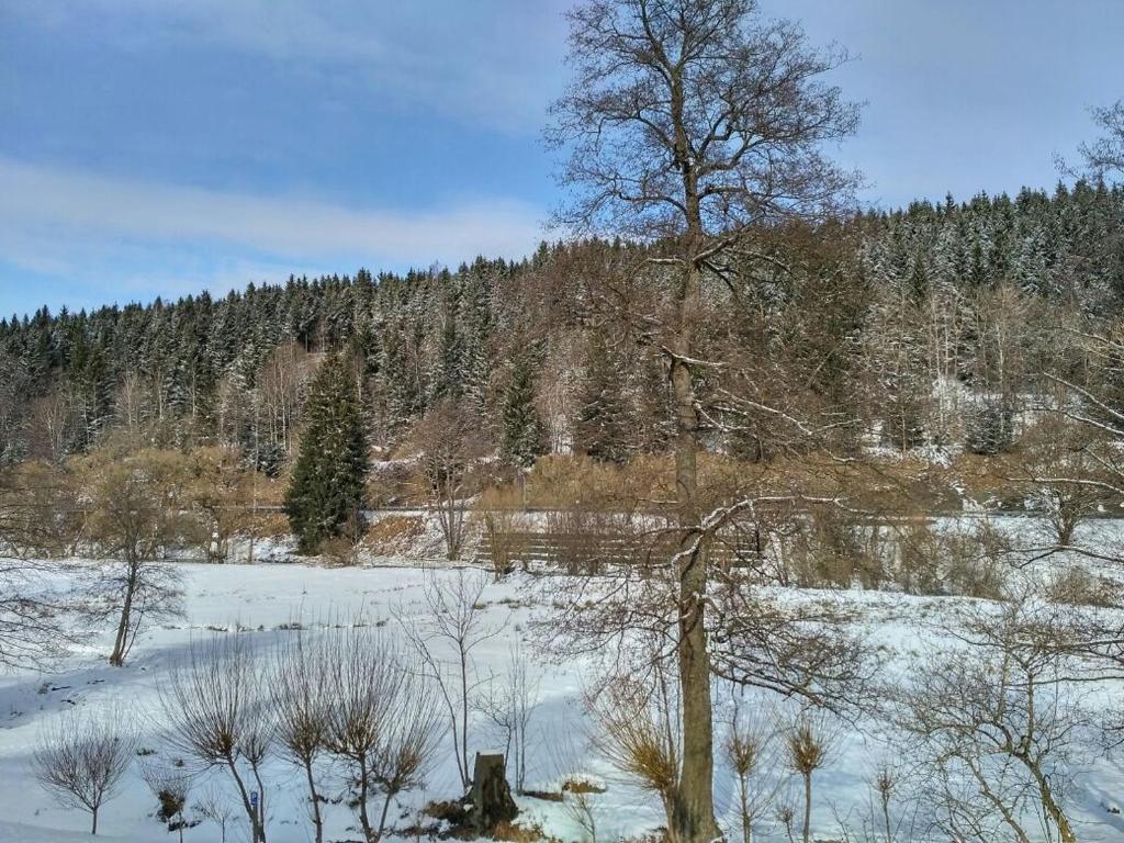 Příroda nedaleko apartmánu