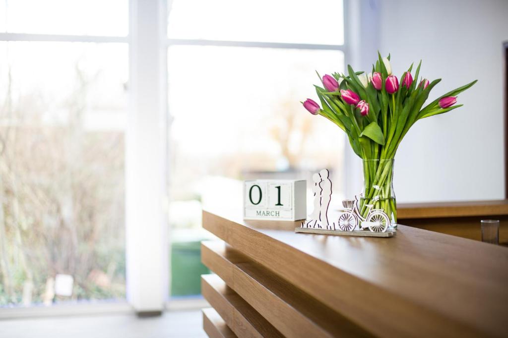 Fotografie z fotogalerie ubytování SOVA Hotel v destinaci Kassel