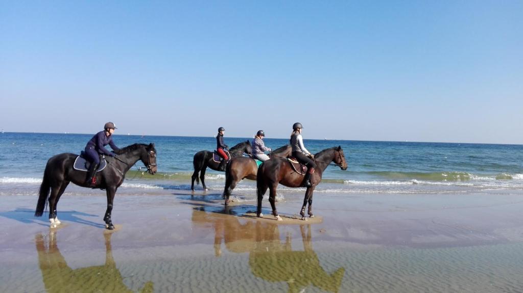 ソポトにあるPrzy plażyの馬に乗る人々