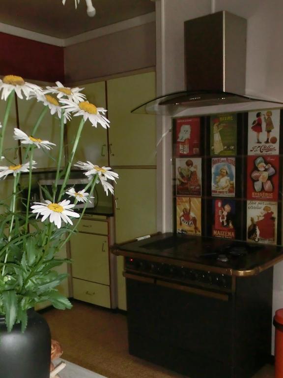 Kuchyň nebo kuchyňský kout v ubytování Le gîte du familistère