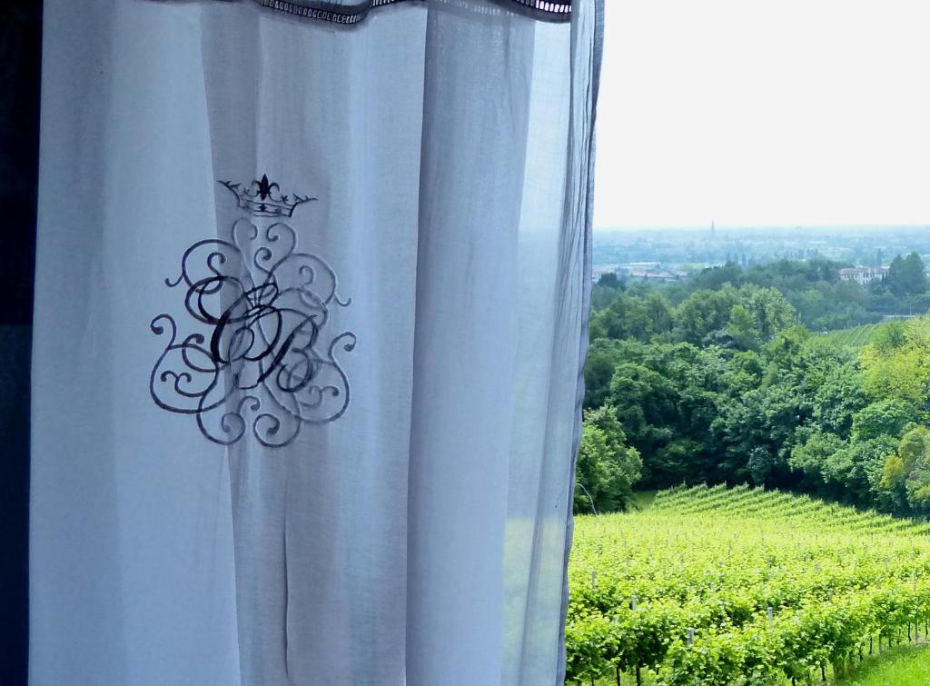 a white curtain with a view of a vineyard at Podere di Costabella in Conegliano