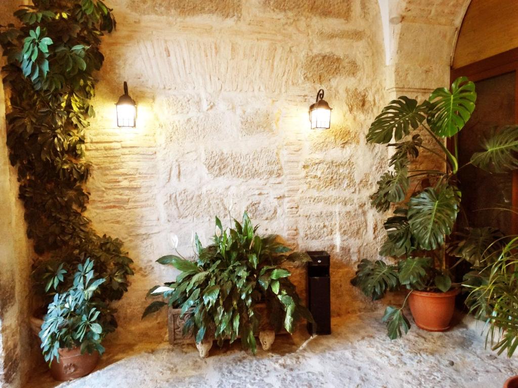 Palacio Antigua Audiencia - 14