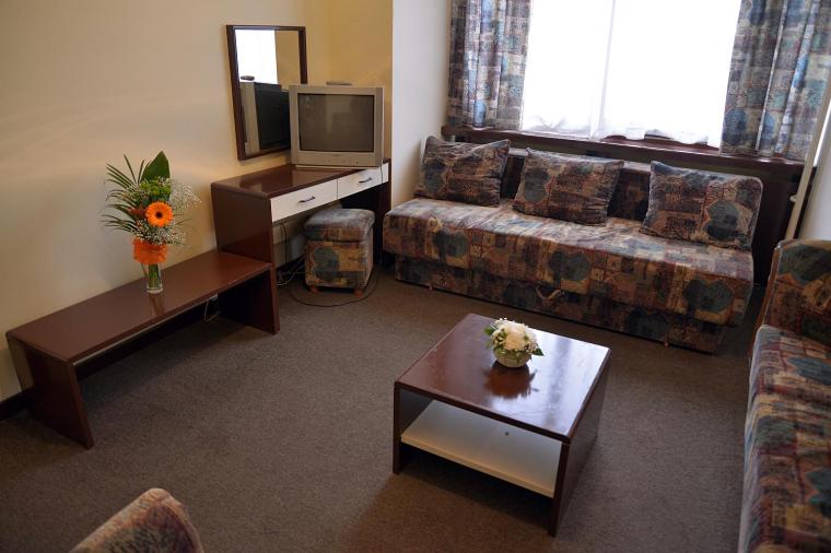 Posezení v ubytování B&B Inex Negotin