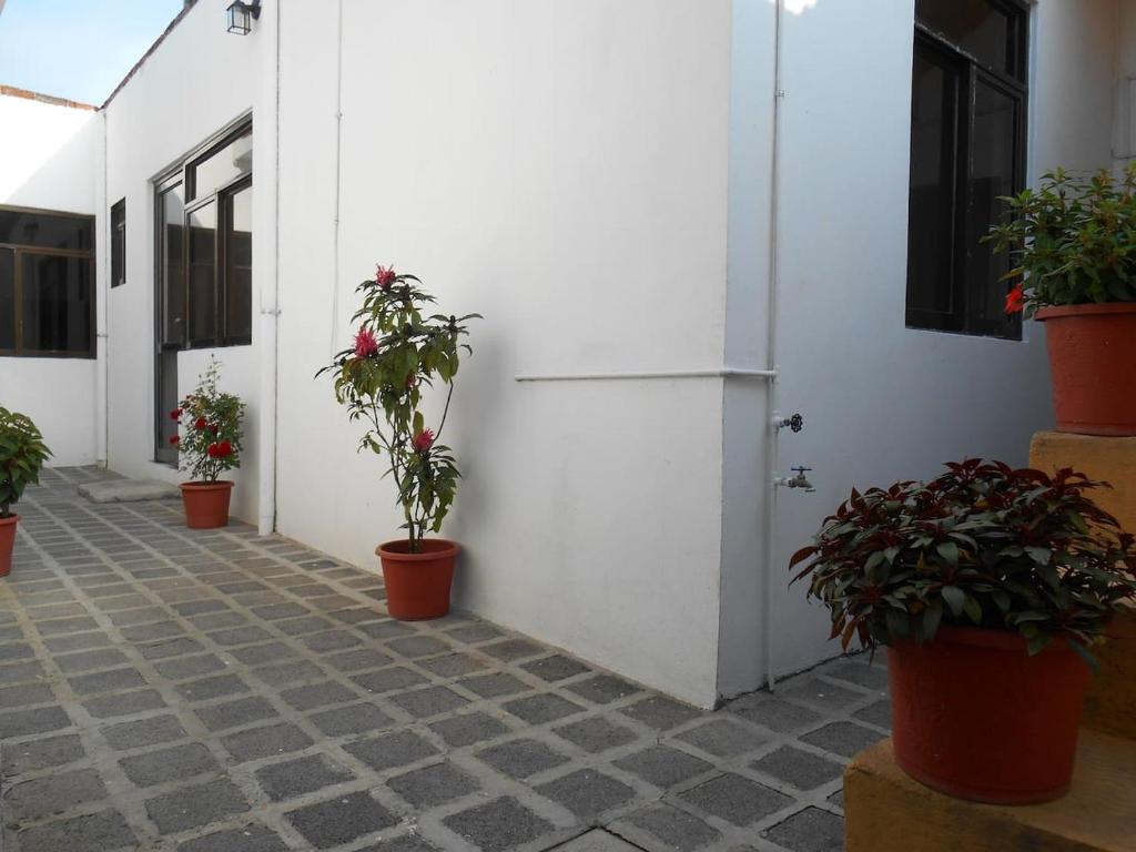 Casa Viveros في سان جان تيوتيهواكان: مبنى أبيض به نباتات خزف على جانبه