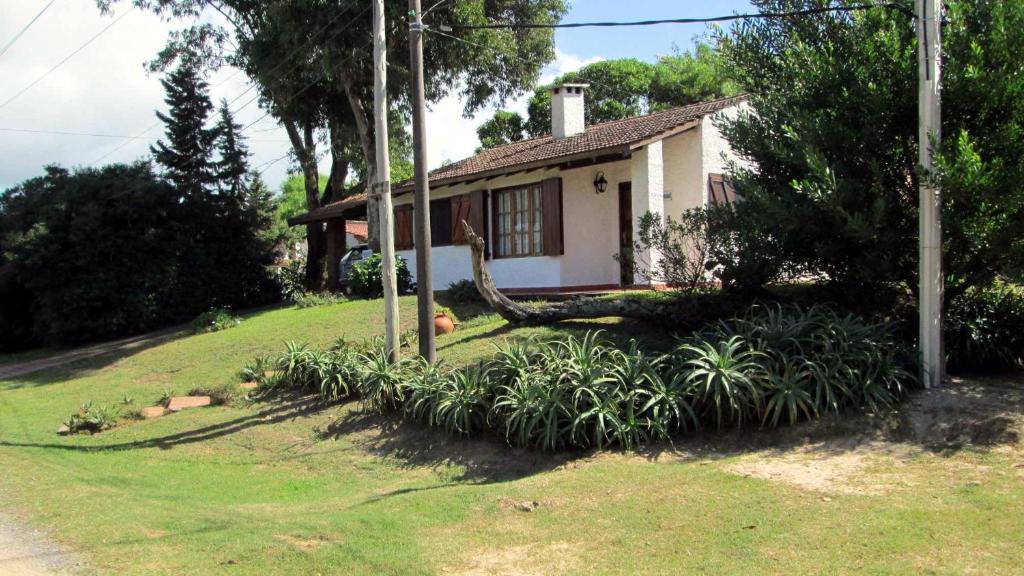 una casa con un árbol tirado a su lado en Jacarandá, en La Paloma