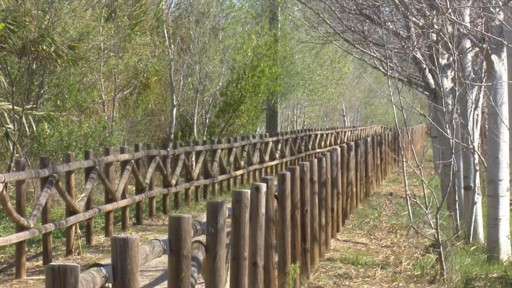 Fotografija v galeriji nastanitve Mas Illa de Riu - Auténtica Masía del Delta del Ebro con capacidad para 20 personas - Deltavacaciones v mestu Sant Jaume d'Enveja