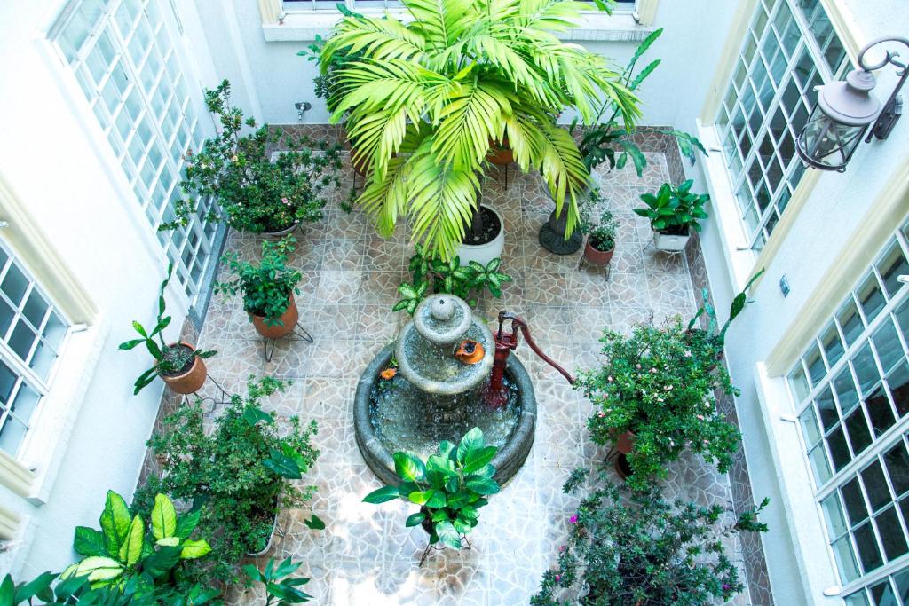 Jardín al aire libre en Hotel Savoy