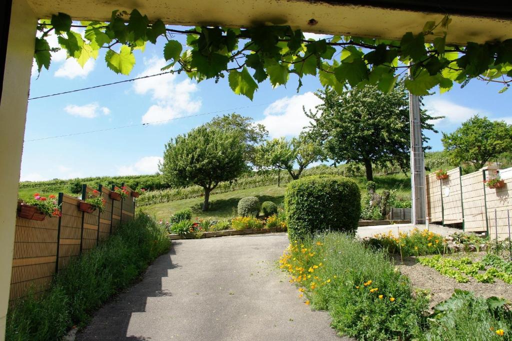 Zahrada ubytování Le Logis du Vendangeur