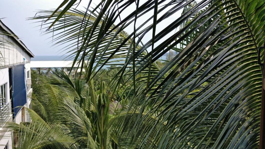 PSK VIMEAN KOH RONG Guesthouse外面的花园