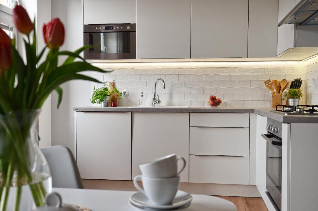 Kuchyň nebo kuchyňský kout v ubytování Apartmán u Masaryka
