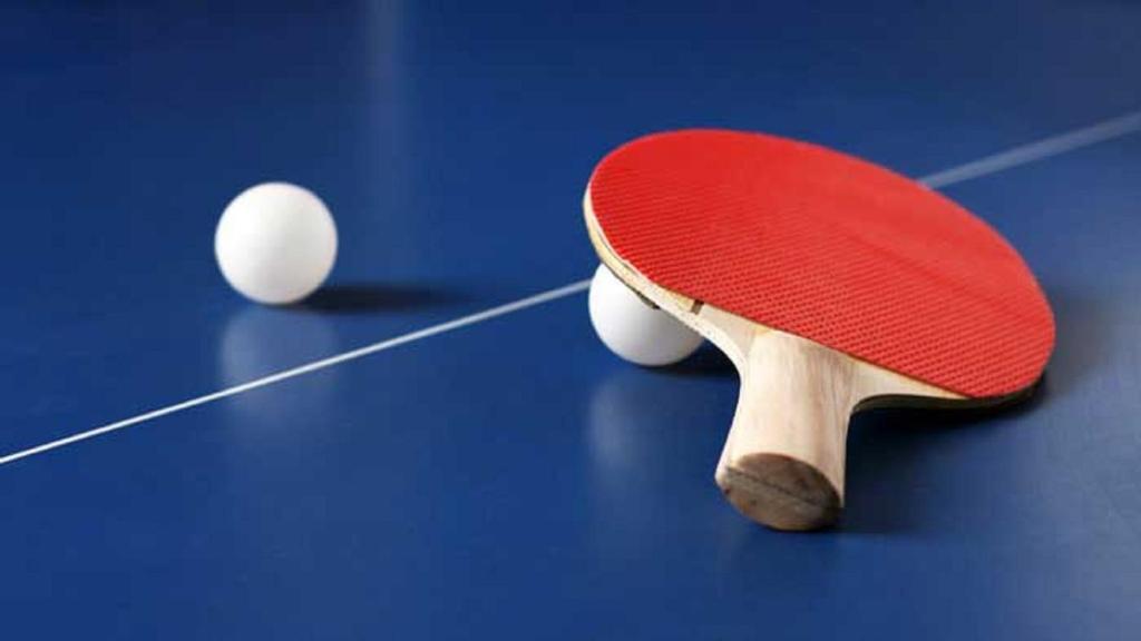Stolní tenis v ubytování Hotel Prestige nebo okolí