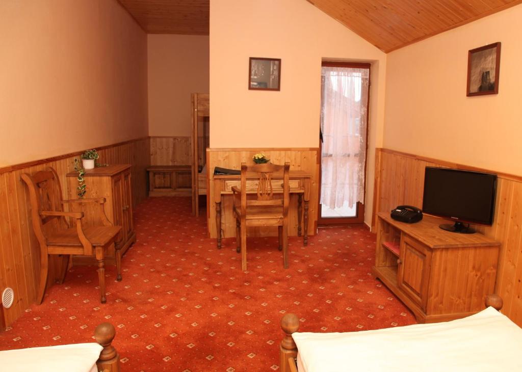 TV a/nebo společenská místnost v ubytování garni Hotel ASAS***
