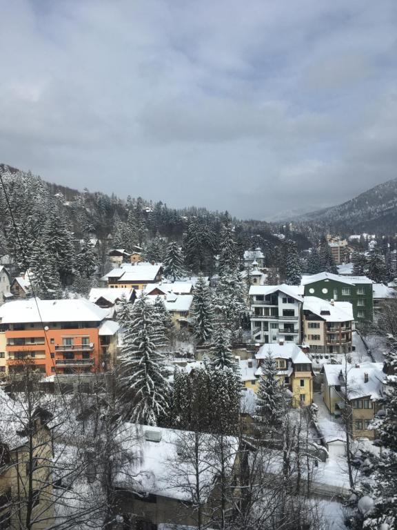 Sinaia view - Квартира