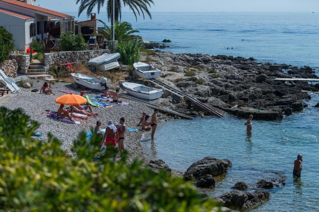 Príroda v okolí apartmánu