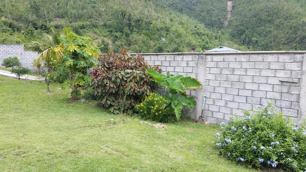Zahrada ubytování Campeche Villa
