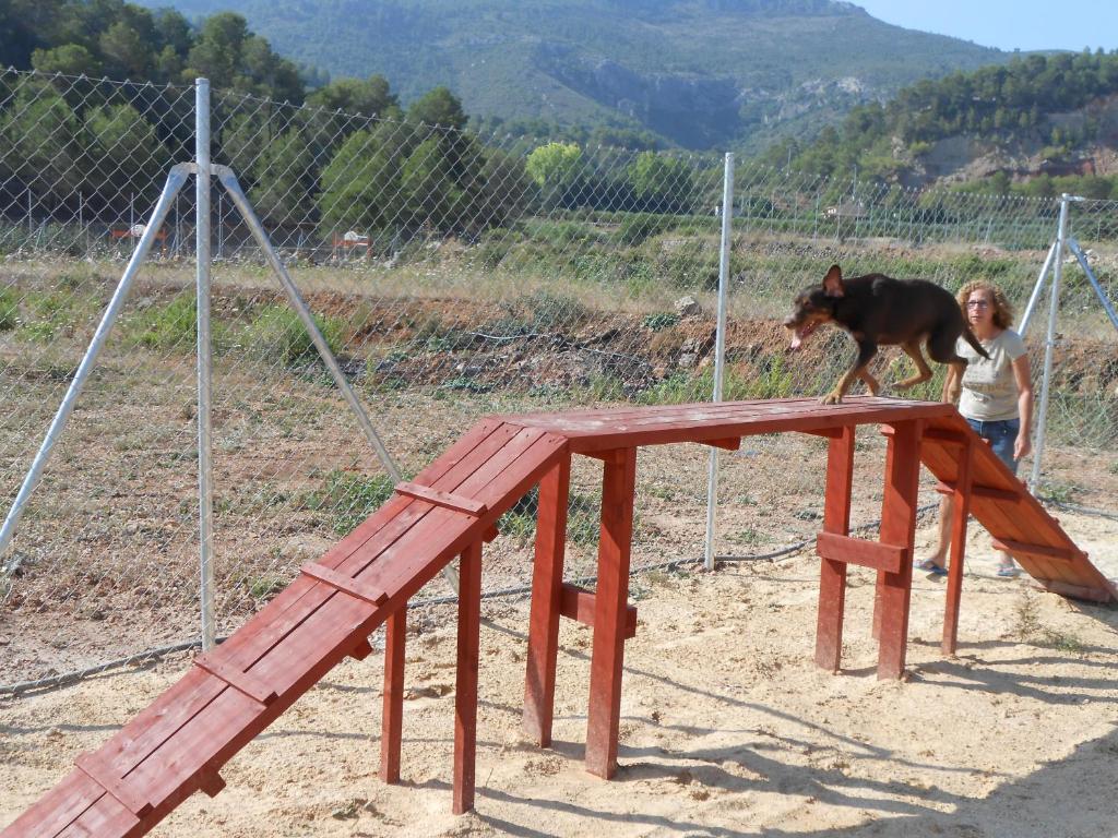 Huéspedes con una o varias mascotas en Oasis Country Park