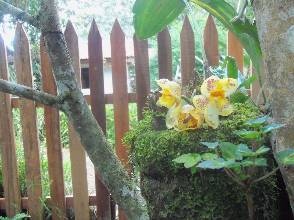 Zahrada ubytování Refugio de Orquídeas