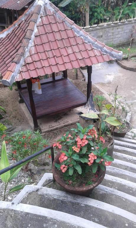 Zahrada ubytování Madu Sentana House