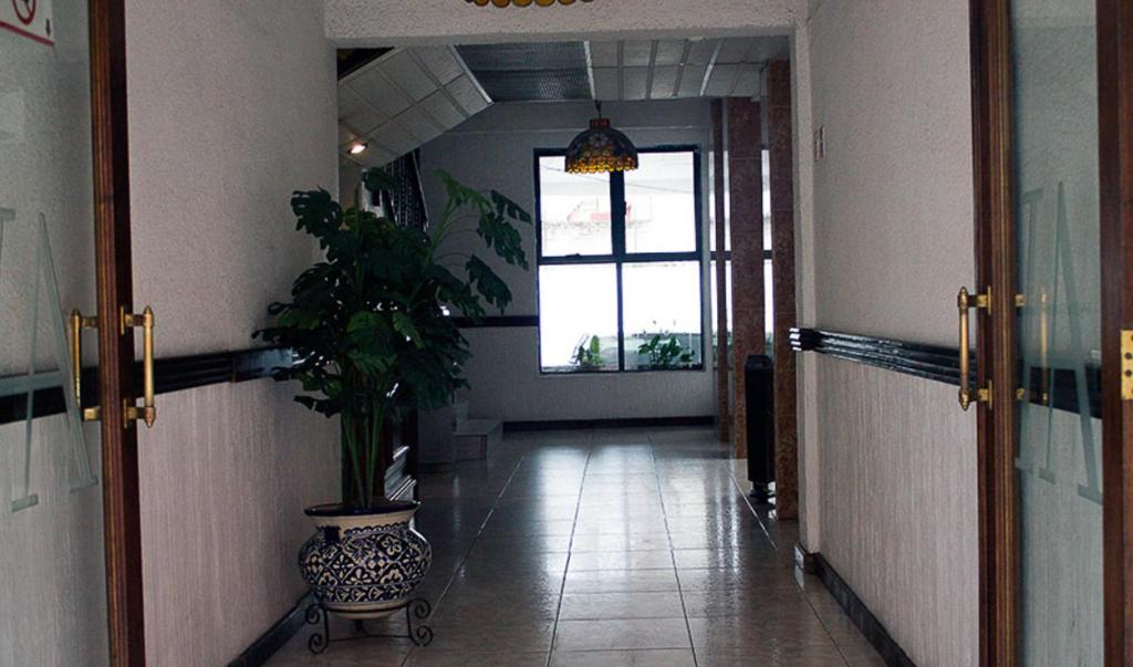 a hallway with a potted plant in a building at Hotel Avenida in Zacatl&aacute;n