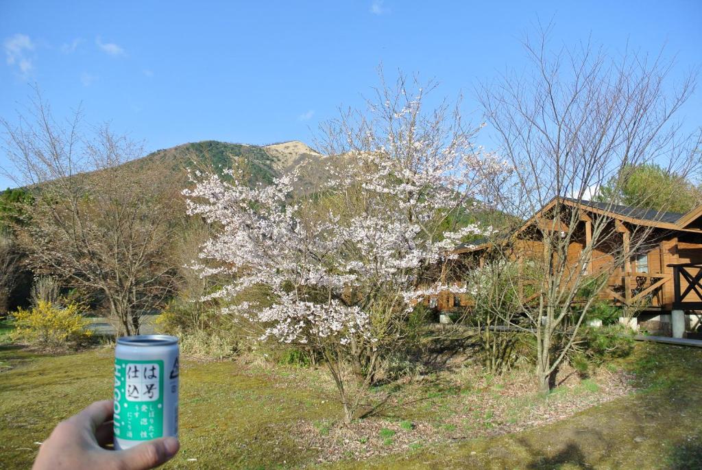 a hand holding a remote control in front of a tree at Polan no Fue in Minamioguni